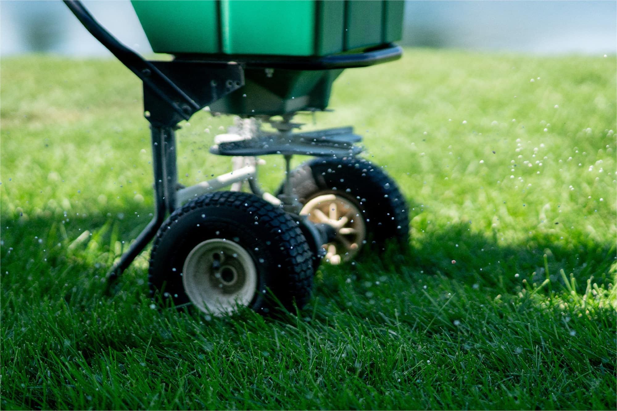 All Green Lawn Care Fertilizer, Pest Control & Tree Care